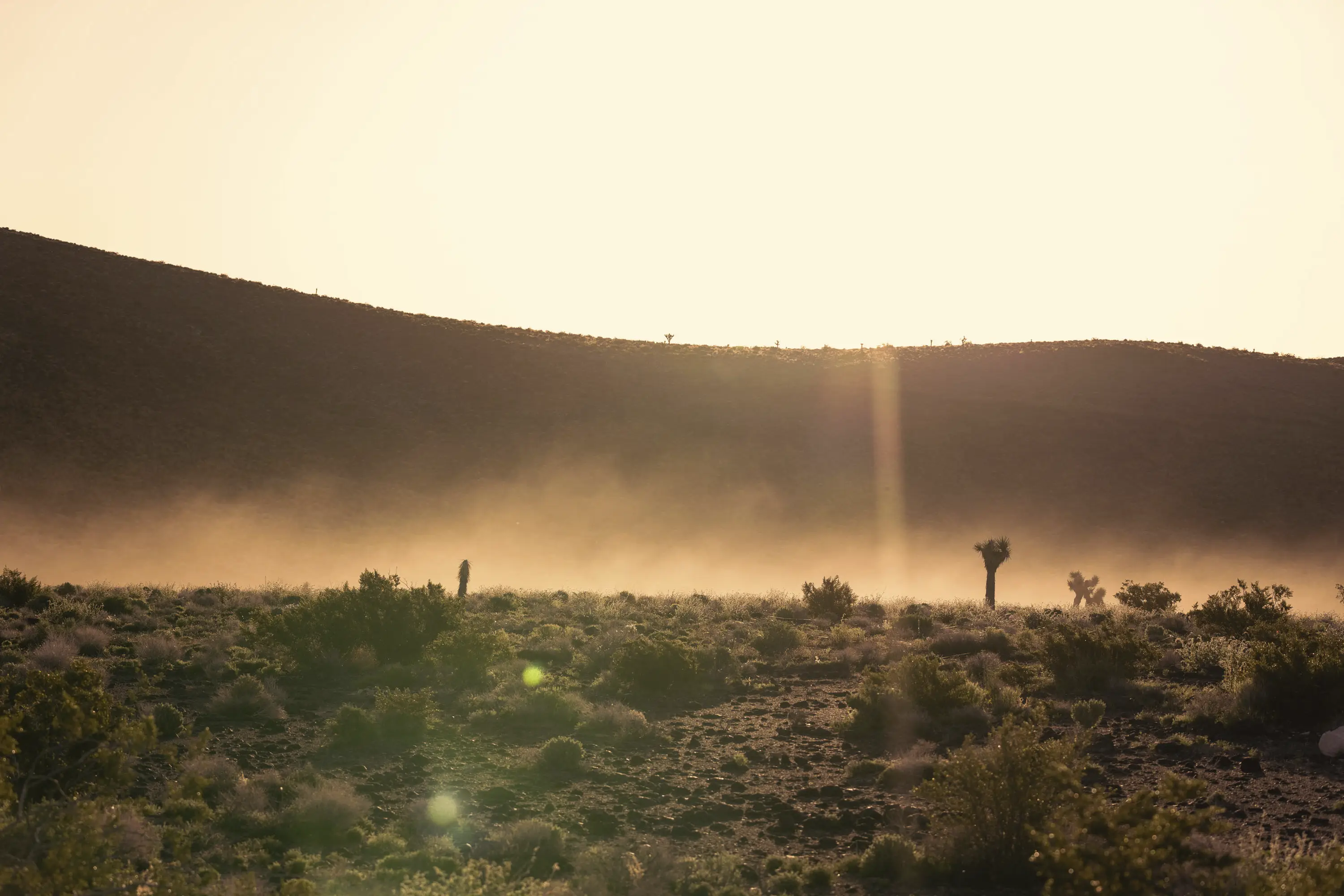 There is nothing like the desert at golden hour Capsuled® Peek™ intro caption
